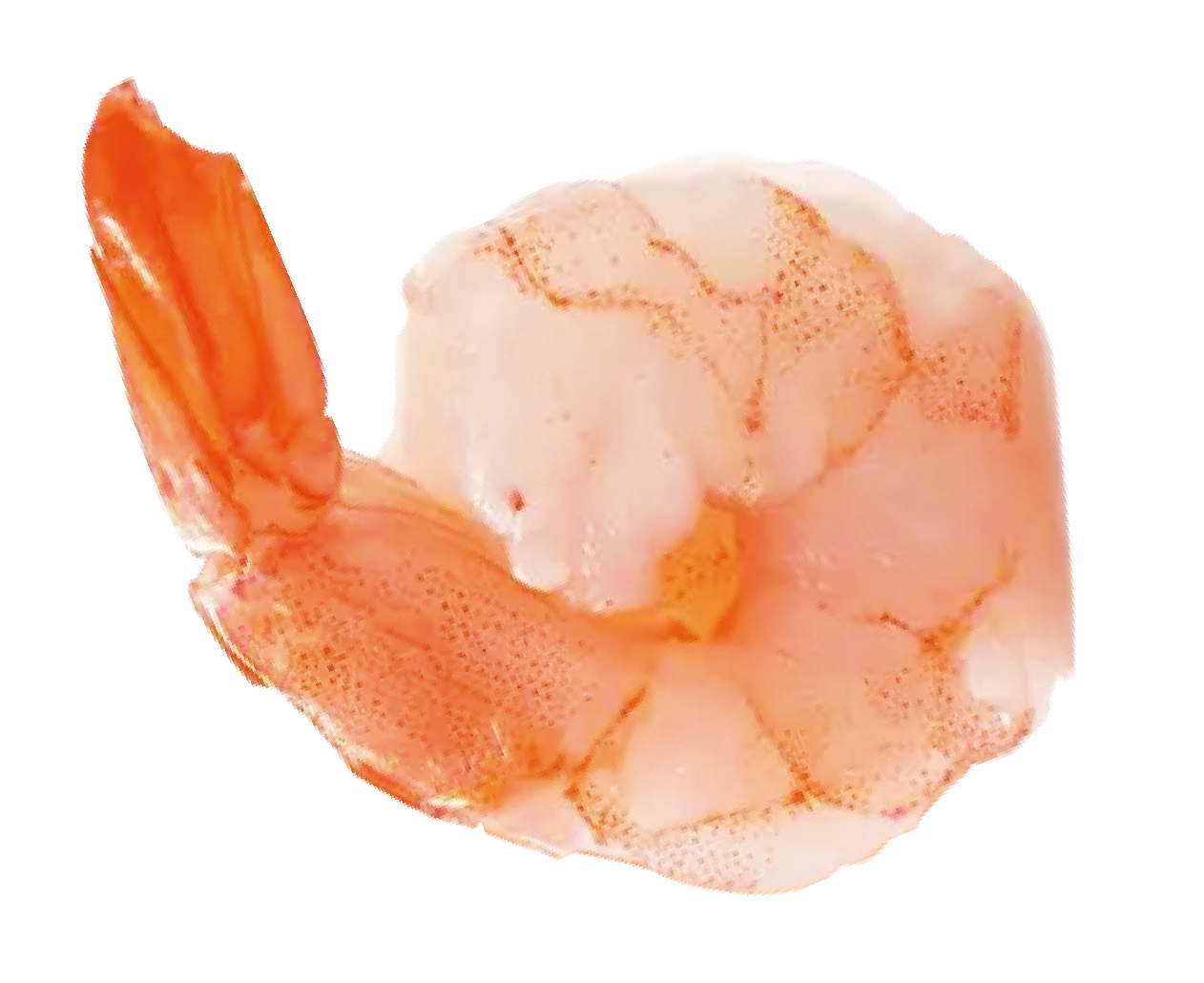 shrimp